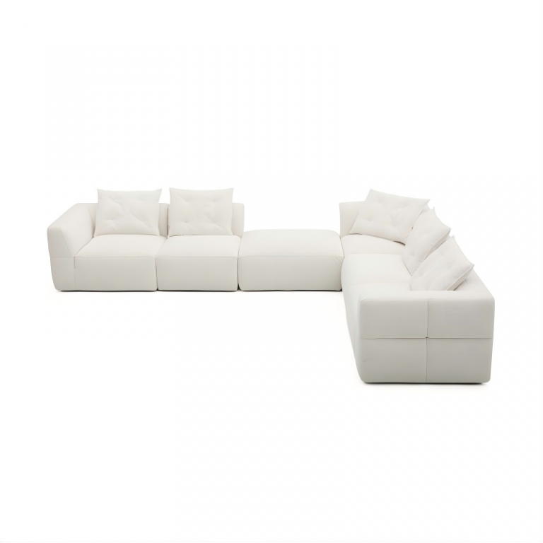 2025022600382-1白底（1）(1)